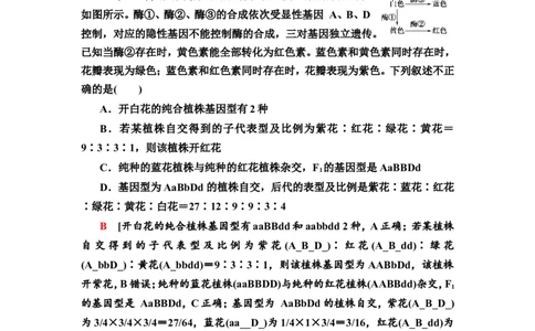[13326492]备考2023生物课时分层作业15　孟德尔的豌豆杂交实验(二)(含解析）_新高考复习资料_2023年新高考复习资料_专项复习_备考2023新高考生物课时分层作业