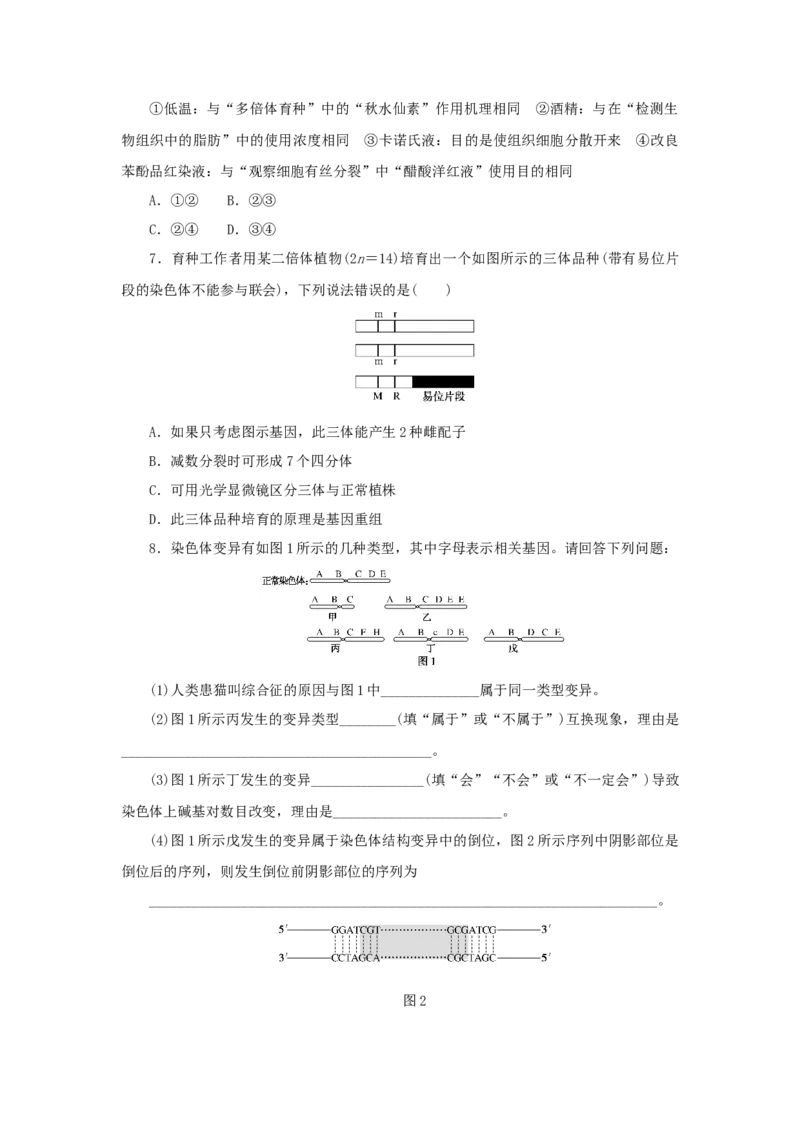 2023版新教材高考生物微专题小练习专练55染色体变异的分析及低温诱导植物细胞染色体数目的变化202208091223_通用版（老高考）复习资料_2023年复习资料_一轮复习