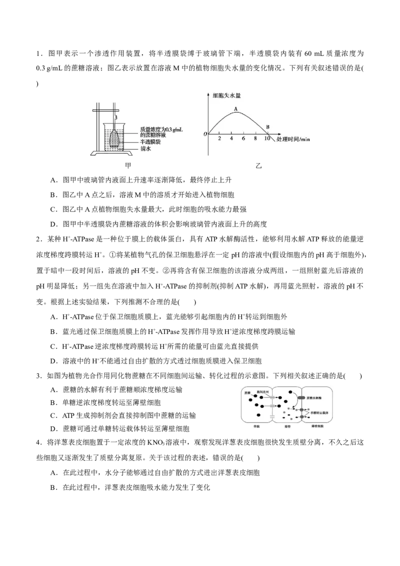 GKSW150_第6讲细胞的物质输入和输出-备战2022年高考生物一轮复习精品讲义（人教版）(原卷版)_新高考复习资料_2022年新高考复习资料_备战2022新高考生物一轮复习精品讲义（人教版）
