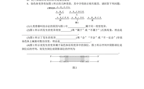 专练55　染色体变异的分析及低温诱导植物细胞染色体数目的变化_新高考复习资料_2023年新高考复习资料_专项复习_2023《微专题&middot;小练习》&middot;生物&middot;新教材&middot;XL-7