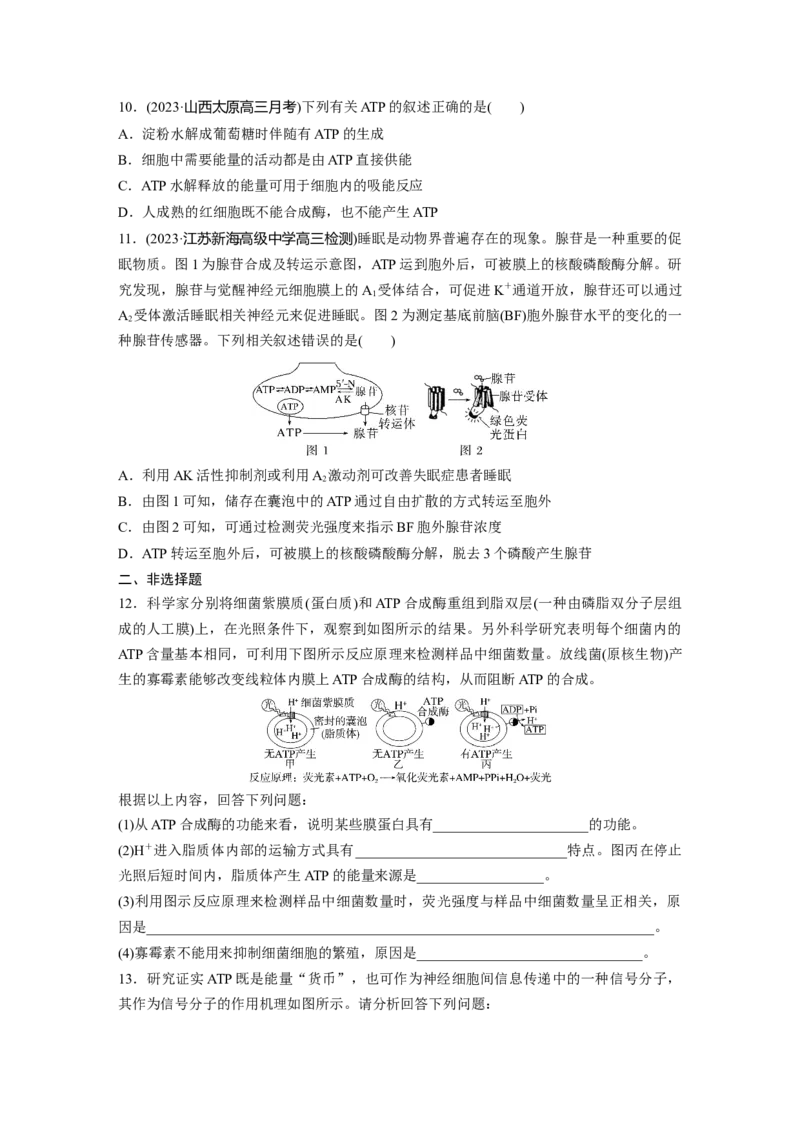 第3单元　课时练2　细胞的能量&ldquo;货币&rdquo;ATP_2024年新高考资料_1.2024一轮复习_2024年高考生物一轮复习讲义（新人教版）_学生版在此文件夹_一轮复习69练_第三单元　细胞的能量供应和利用