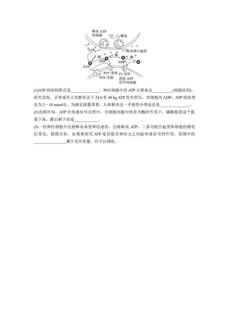 第3单元　课时练2　细胞的能量&ldquo;货币&rdquo;ATP_2024年新高考资料_1.2024一轮复习_2024年高考生物一轮复习讲义（新人教版）_学生版在此文件夹_一轮复习69练_第三单元　细胞的能量供应和利用