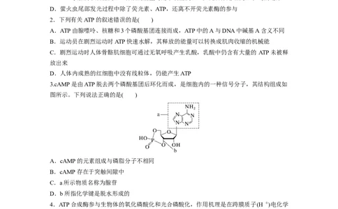 第3单元　课时练2　细胞的能量&ldquo;货币&rdquo;ATP_2024年新高考资料_1.2024一轮复习_2024年高考生物一轮复习讲义（新人教版）_学生版在此文件夹_一轮复习69练_第三单元　细胞的能量供应和利用