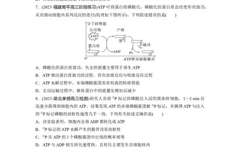 第3单元　课时练2　细胞的能量&ldquo;货币&rdquo;ATP_2024年新高考资料_1.2024一轮复习_2024年高考生物一轮复习讲义（新人教版）_学生版在此文件夹_一轮复习69练_第三单元　细胞的能量供应和利用