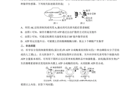 第3单元　课时练2　细胞的能量&ldquo;货币&rdquo;ATP_2024年新高考资料_1.2024一轮复习_2024年高考生物一轮复习讲义（新人教版）_学生版在此文件夹_一轮复习69练_第三单元　细胞的能量供应和利用