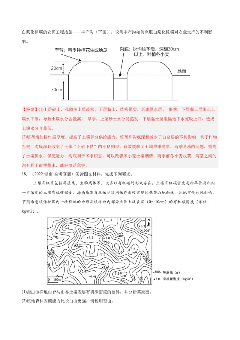 第16讲植被与土壤（解析版）_2025年新高考资料_一轮复习_备战2025年高考地理一轮复习考点帮（新高考通用）（完结）