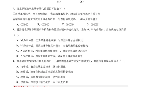 第16讲植被与土壤（解析版）_2025年新高考资料_一轮复习_备战2025年高考地理一轮复习考点帮（新高考通用）（完结）