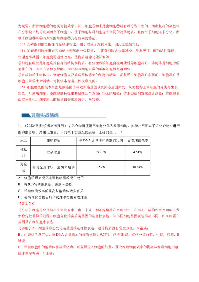 第14讲细胞的分化、衰老、死亡和癌变（练习）（解析版）_2024年新高考资料_1.2024一轮复习_2024年高考生物一轮复习讲练测（新教材新高考）