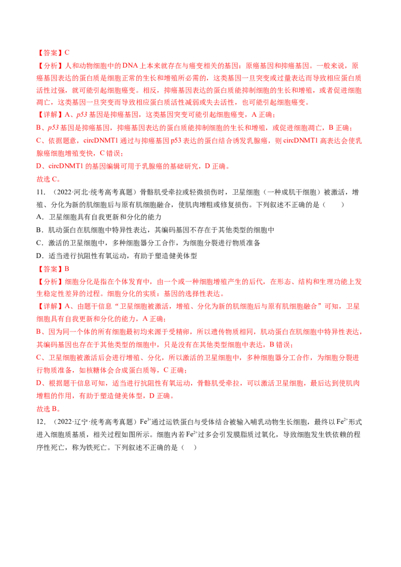 第14讲细胞的分化、衰老、死亡和癌变（练习）（解析版）_2024年新高考资料_1.2024一轮复习_2024年高考生物一轮复习讲练测（新教材新高考）