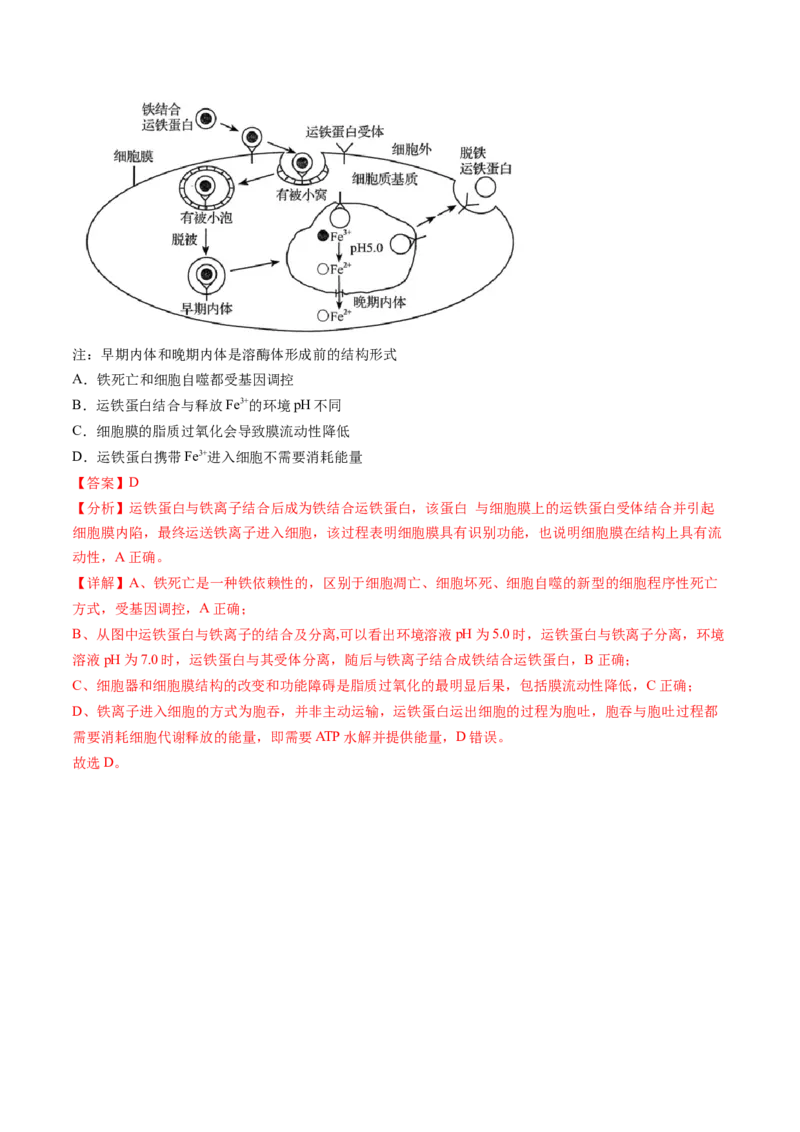 第14讲细胞的分化、衰老、死亡和癌变（练习）（解析版）_2024年新高考资料_1.2024一轮复习_2024年高考生物一轮复习讲练测（新教材新高考）