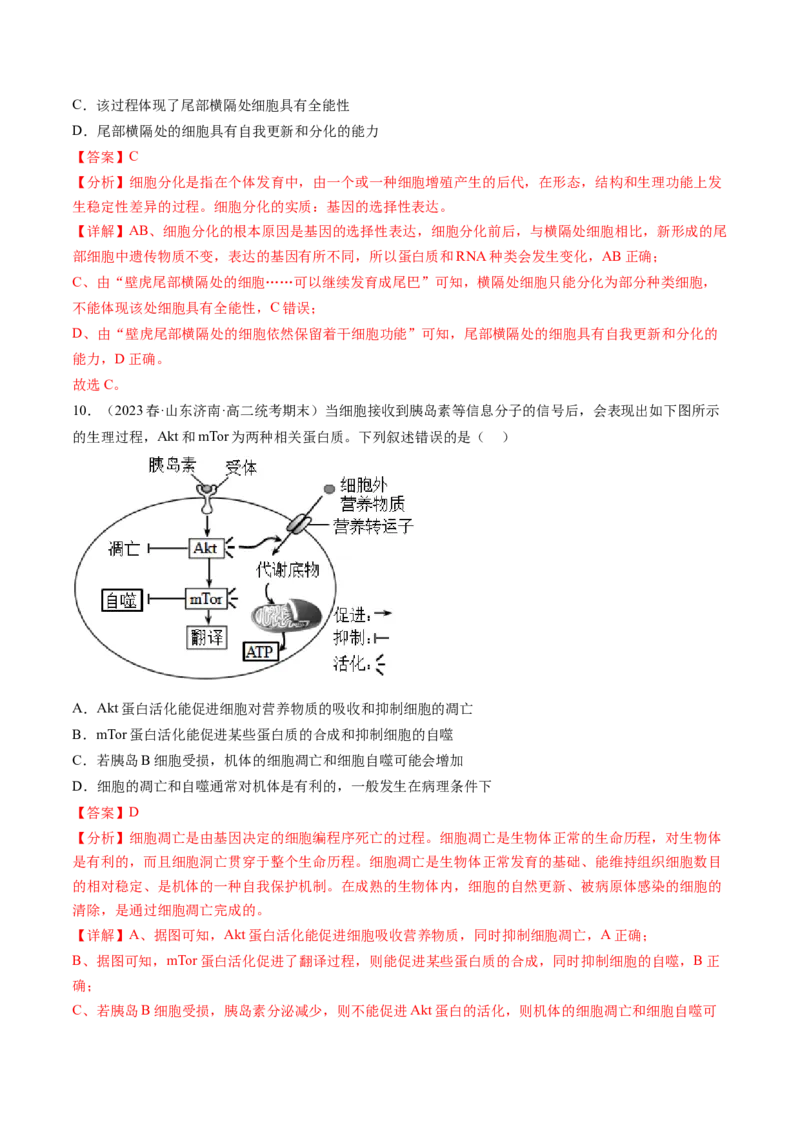第14讲细胞的分化、衰老、死亡和癌变（练习）（解析版）_2024年新高考资料_1.2024一轮复习_2024年高考生物一轮复习讲练测（新教材新高考）