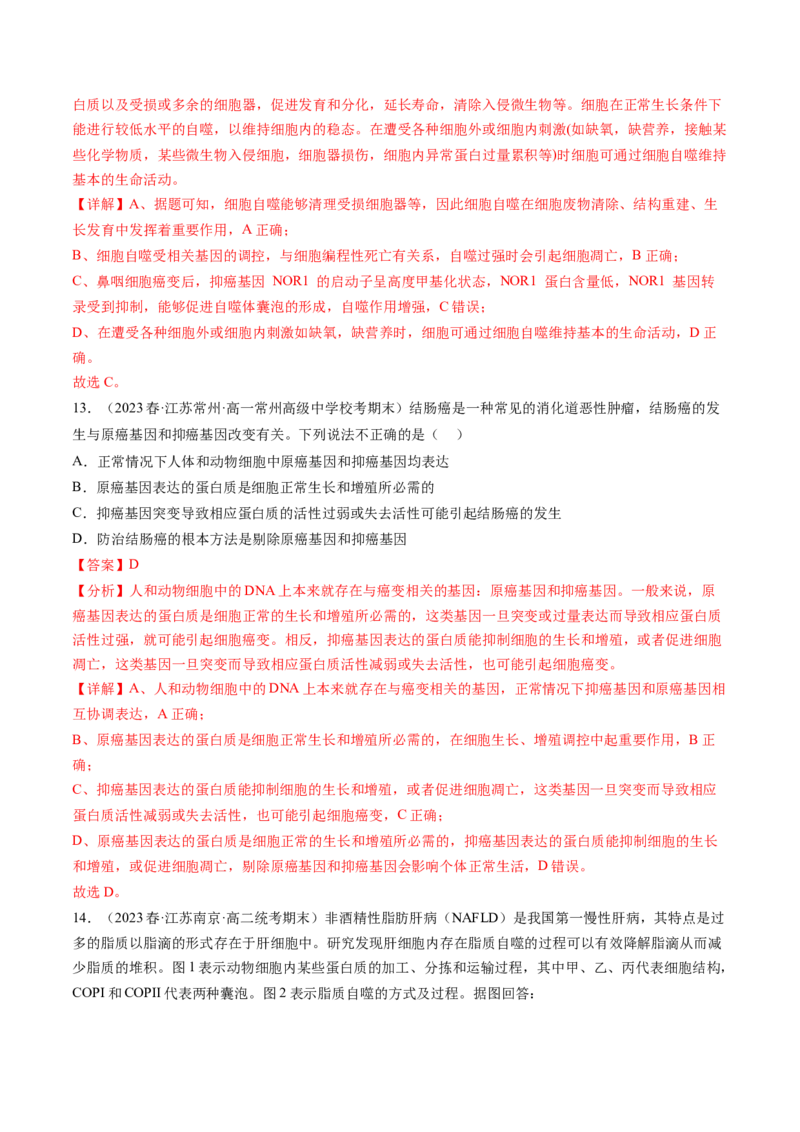 第14讲细胞的分化、衰老、死亡和癌变（练习）（解析版）_2024年新高考资料_1.2024一轮复习_2024年高考生物一轮复习讲练测（新教材新高考）