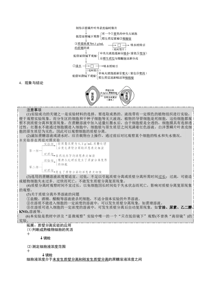 GKSW150_第6讲细胞的物质输入和输出-备战2022年高考生物一轮复习精品讲义（人教版）(解析版)_新高考复习资料_2022年新高考复习资料_备战2022新高考生物一轮复习精品讲义（人教版）