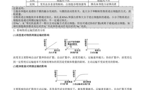 GKSW150_第6讲细胞的物质输入和输出-备战2022年高考生物一轮复习精品讲义（人教版）(解析版)_新高考复习资料_2022年新高考复习资料_备战2022新高考生物一轮复习精品讲义（人教版）