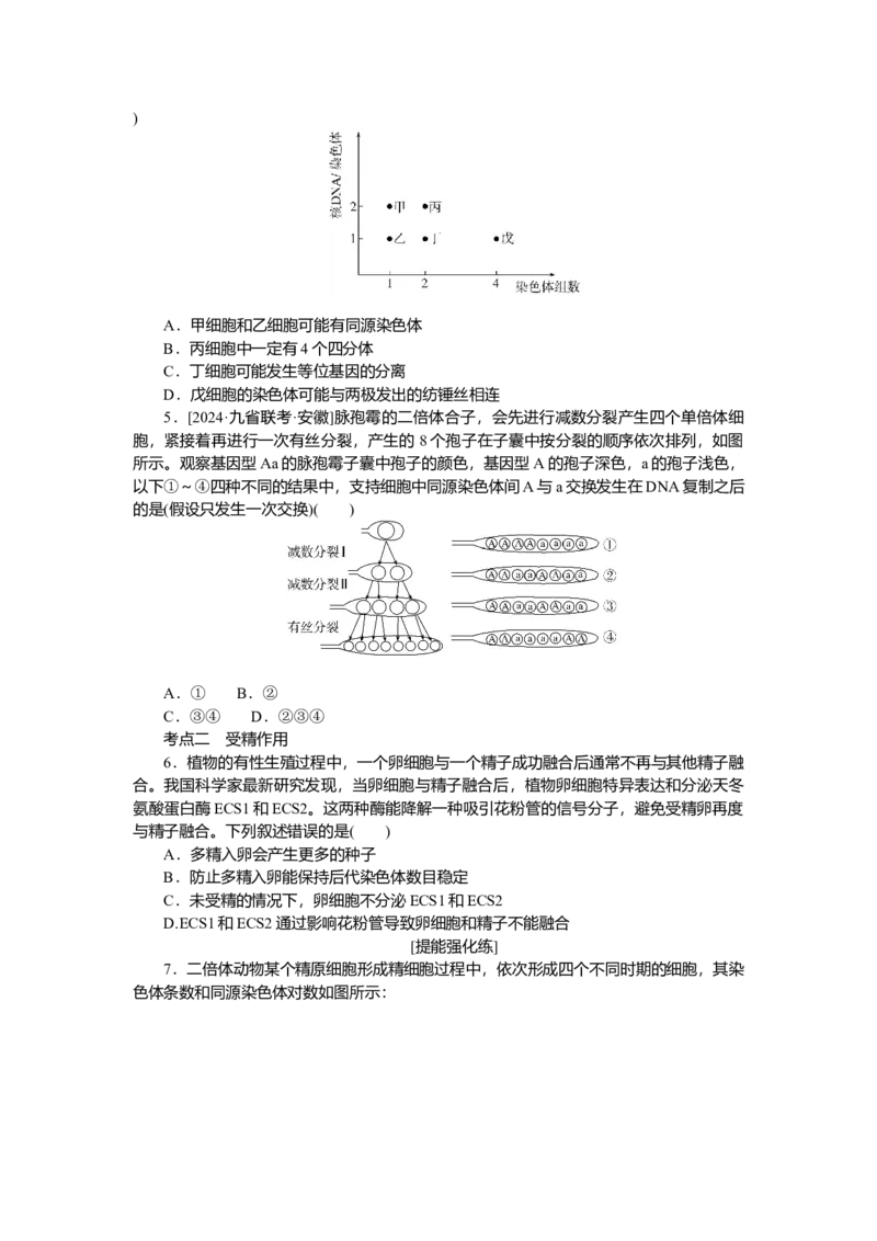 2025届高中生物学一轮复习检测案13　减数分裂和受精作用(一)（含解析）_2025年新高考资料_一轮复习_2025届高中生物学一轮复习分层复习检测(含解析)
