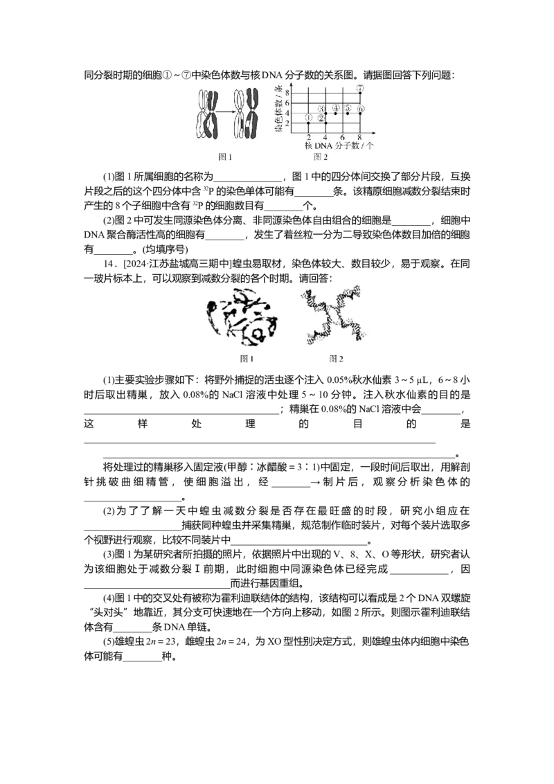 2025届高中生物学一轮复习检测案13　减数分裂和受精作用(一)（含解析）_2025年新高考资料_一轮复习_2025届高中生物学一轮复习分层复习检测(含解析)