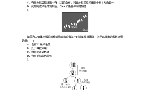 2025届高中生物学一轮复习检测案13　减数分裂和受精作用(一)（含解析）_2025年新高考资料_一轮复习_2025届高中生物学一轮复习分层复习检测(含解析)