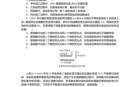 2025届高中生物学一轮复习检测案13　减数分裂和受精作用(一)（含解析）_2025年新高考资料_一轮复习_2025届高中生物学一轮复习分层复习检测(含解析)