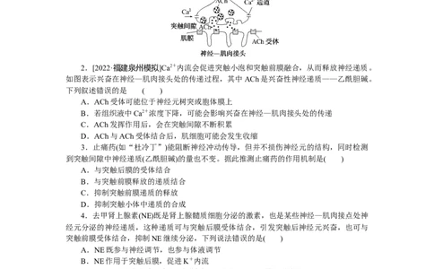 专练60　神经调节(兴奋在神经元之间的传递)_通用版（老高考）复习资料_2023年复习资料_专项复习_2023《微专题&middot;小练习》&middot;生物