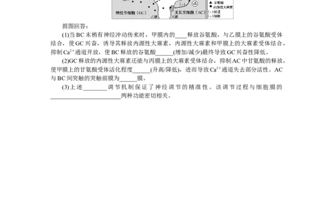 专练60　神经调节(兴奋在神经元之间的传递)_通用版（老高考）复习资料_2023年复习资料_专项复习_2023《微专题&middot;小练习》&middot;生物