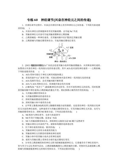 专练60　神经调节(兴奋在神经元之间的传递)_通用版（老高考）复习资料_2023年复习资料_专项复习_2023《微专题&middot;小练习》&middot;生物