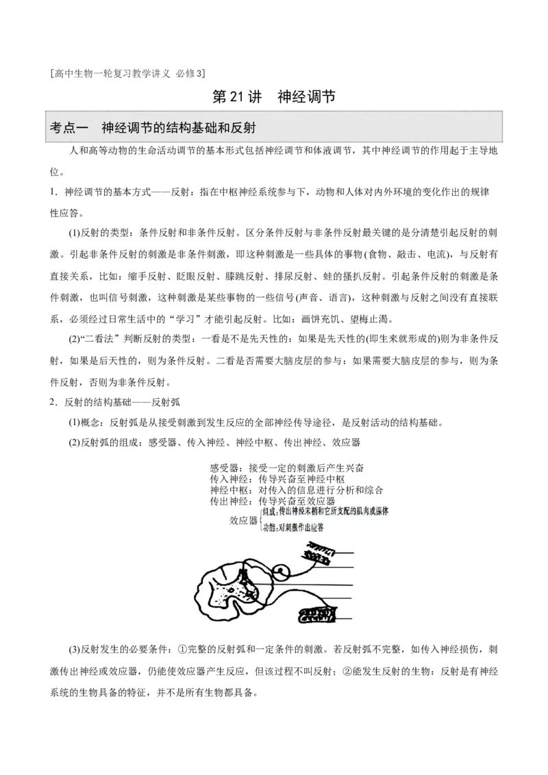 GKSW150_第21讲神经调节-备战2022年高考生物一轮复习精品讲义（人教版）(原卷版)_新高考复习资料_2022年新高考复习资料_备战2022新高考生物一轮复习精品讲义（人教版）