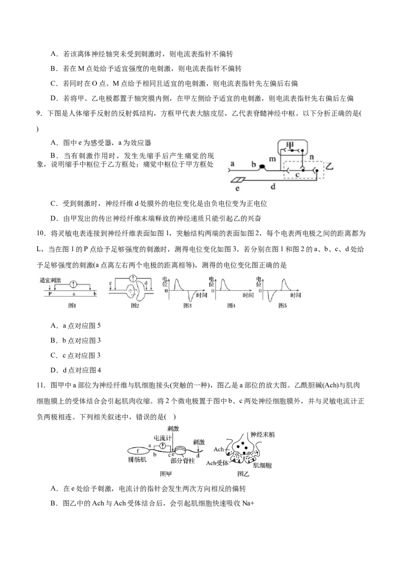 GKSW150_第21讲神经调节-备战2022年高考生物一轮复习精品讲义（人教版）(原卷版)_新高考复习资料_2022年新高考复习资料_备战2022新高考生物一轮复习精品讲义（人教版）