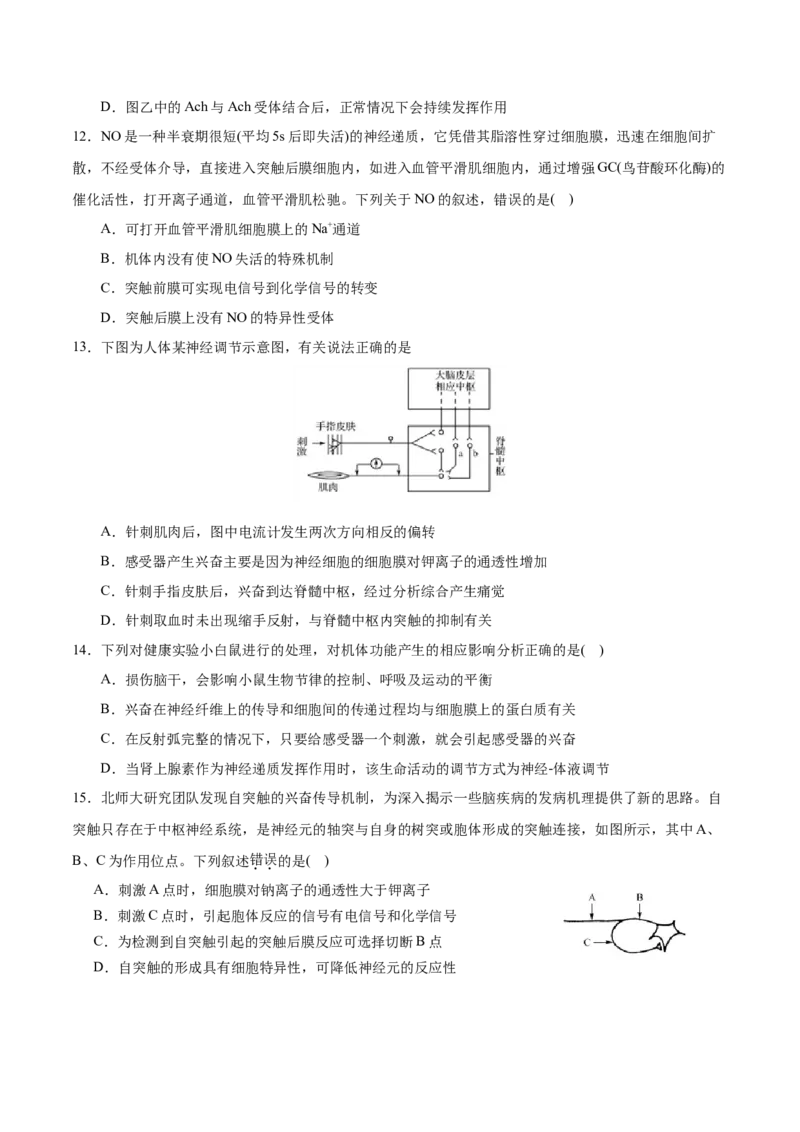 GKSW150_第21讲神经调节-备战2022年高考生物一轮复习精品讲义（人教版）(原卷版)_新高考复习资料_2022年新高考复习资料_备战2022新高考生物一轮复习精品讲义（人教版）