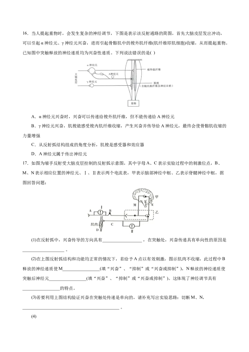 GKSW150_第21讲神经调节-备战2022年高考生物一轮复习精品讲义（人教版）(原卷版)_新高考复习资料_2022年新高考复习资料_备战2022新高考生物一轮复习精品讲义（人教版）