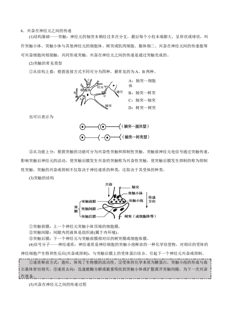 GKSW150_第21讲神经调节-备战2022年高考生物一轮复习精品讲义（人教版）(原卷版)_新高考复习资料_2022年新高考复习资料_备战2022新高考生物一轮复习精品讲义（人教版）