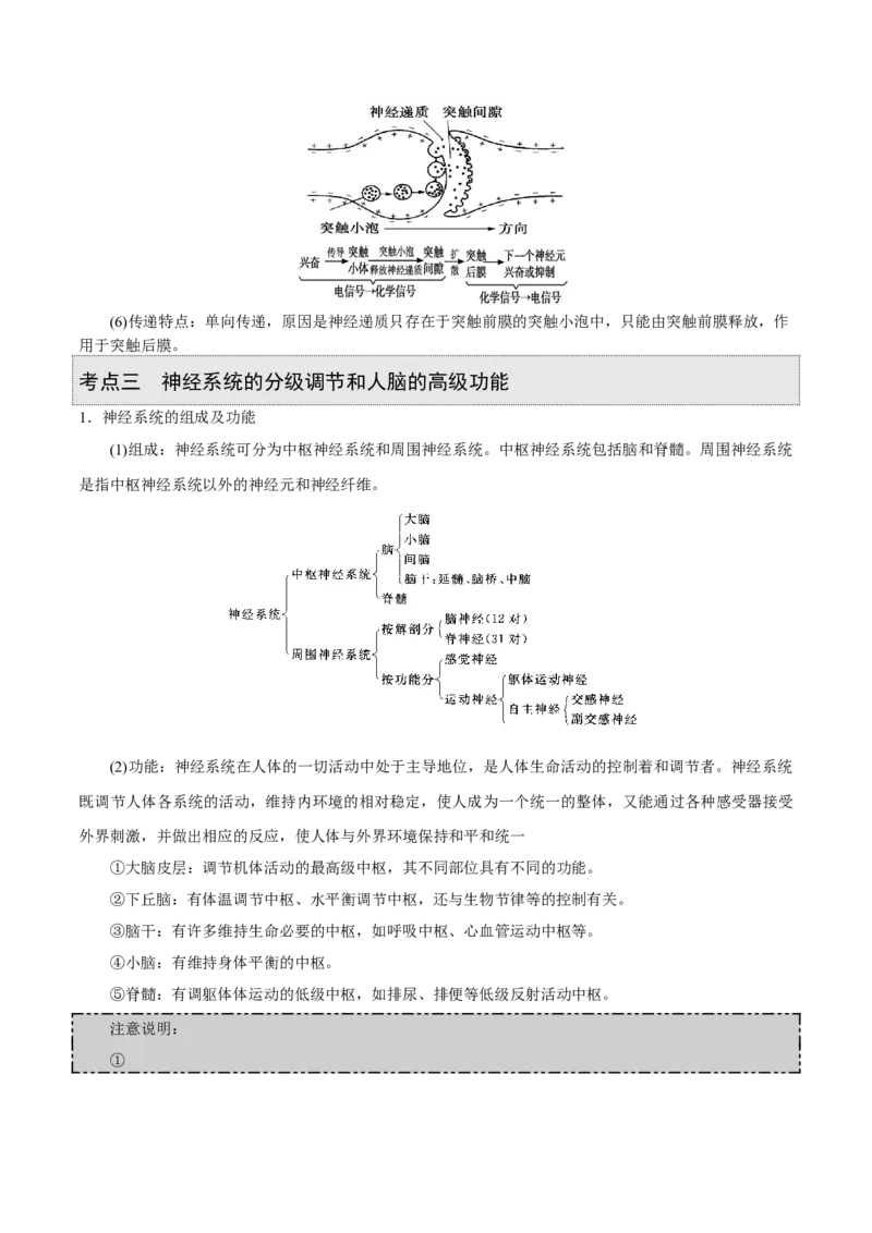 GKSW150_第21讲神经调节-备战2022年高考生物一轮复习精品讲义（人教版）(原卷版)_新高考复习资料_2022年新高考复习资料_备战2022新高考生物一轮复习精品讲义（人教版）