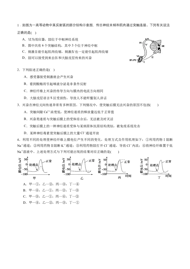 GKSW150_第21讲神经调节-备战2022年高考生物一轮复习精品讲义（人教版）(原卷版)_新高考复习资料_2022年新高考复习资料_备战2022新高考生物一轮复习精品讲义（人教版）
