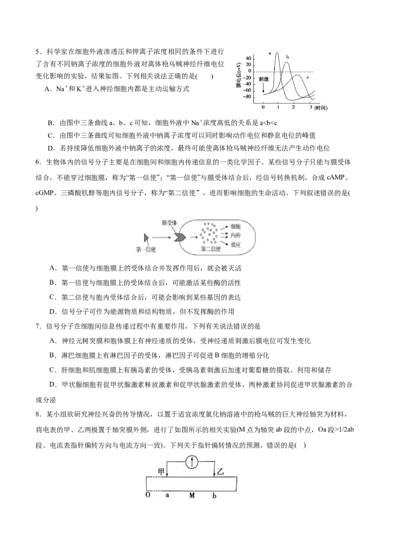 GKSW150_第21讲神经调节-备战2022年高考生物一轮复习精品讲义（人教版）(原卷版)_新高考复习资料_2022年新高考复习资料_备战2022新高考生物一轮复习精品讲义（人教版）