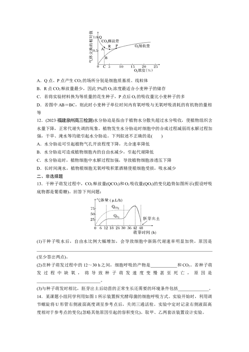 第3单元　课时练4　细胞呼吸的影响因素及其应用_2024年新高考资料_1.2024一轮复习_2024年高考生物一轮复习讲义（新人教版）_学生版在此文件夹_一轮复习69练