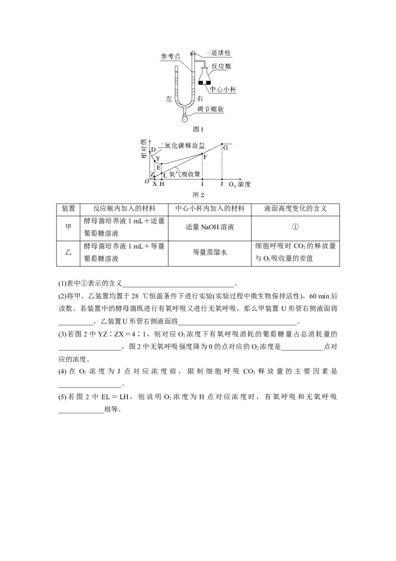 第3单元　课时练4　细胞呼吸的影响因素及其应用_2024年新高考资料_1.2024一轮复习_2024年高考生物一轮复习讲义（新人教版）_学生版在此文件夹_一轮复习69练