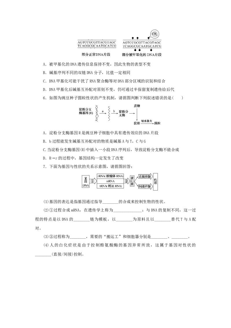 2023版新教材高考生物微专题小练习专练51基因表达与性状的关系202208091219_通用版（老高考）复习资料_2023年复习资料_一轮复习_2023届高考生物一轮微专题100练