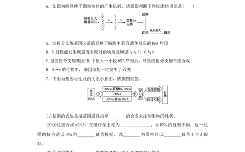 2023版新教材高考生物微专题小练习专练51基因表达与性状的关系202208091219_通用版（老高考）复习资料_2023年复习资料_一轮复习_2023届高考生物一轮微专题100练