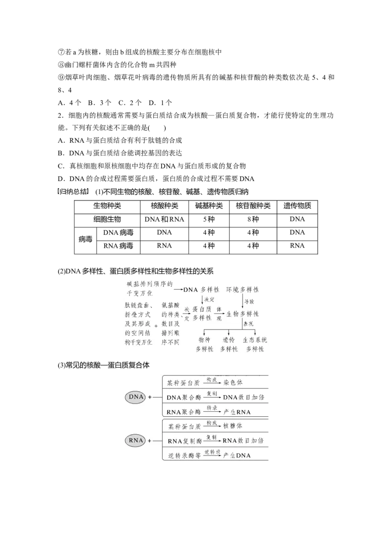 第1单元　第4课时　核酸是遗传信息的携带者、有机物的鉴定_2024年新高考资料_1.2024一轮复习_2024年高考生物一轮复习讲义（新人教版）_学生版在此文件夹_大一轮复习讲义