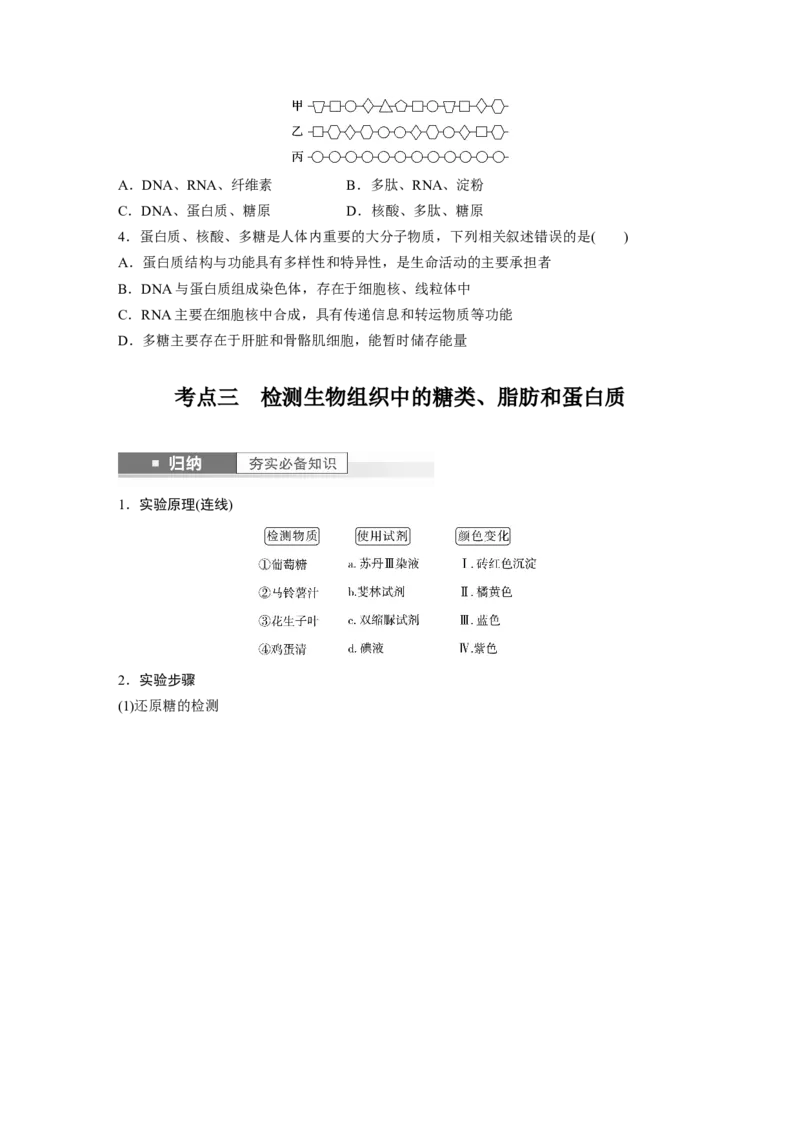 第1单元　第4课时　核酸是遗传信息的携带者、有机物的鉴定_2024年新高考资料_1.2024一轮复习_2024年高考生物一轮复习讲义（新人教版）_学生版在此文件夹_大一轮复习讲义