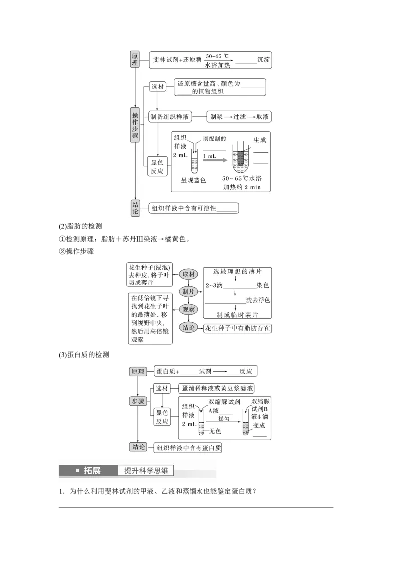 第1单元　第4课时　核酸是遗传信息的携带者、有机物的鉴定_2024年新高考资料_1.2024一轮复习_2024年高考生物一轮复习讲义（新人教版）_学生版在此文件夹_大一轮复习讲义