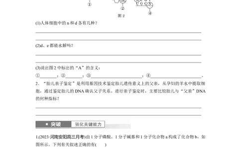 第1单元　第4课时　核酸是遗传信息的携带者、有机物的鉴定_2024年新高考资料_1.2024一轮复习_2024年高考生物一轮复习讲义（新人教版）_学生版在此文件夹_大一轮复习讲义