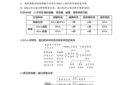 第1单元　第4课时　核酸是遗传信息的携带者、有机物的鉴定_2024年新高考资料_1.2024一轮复习_2024年高考生物一轮复习讲义（新人教版）_学生版在此文件夹_大一轮复习讲义
