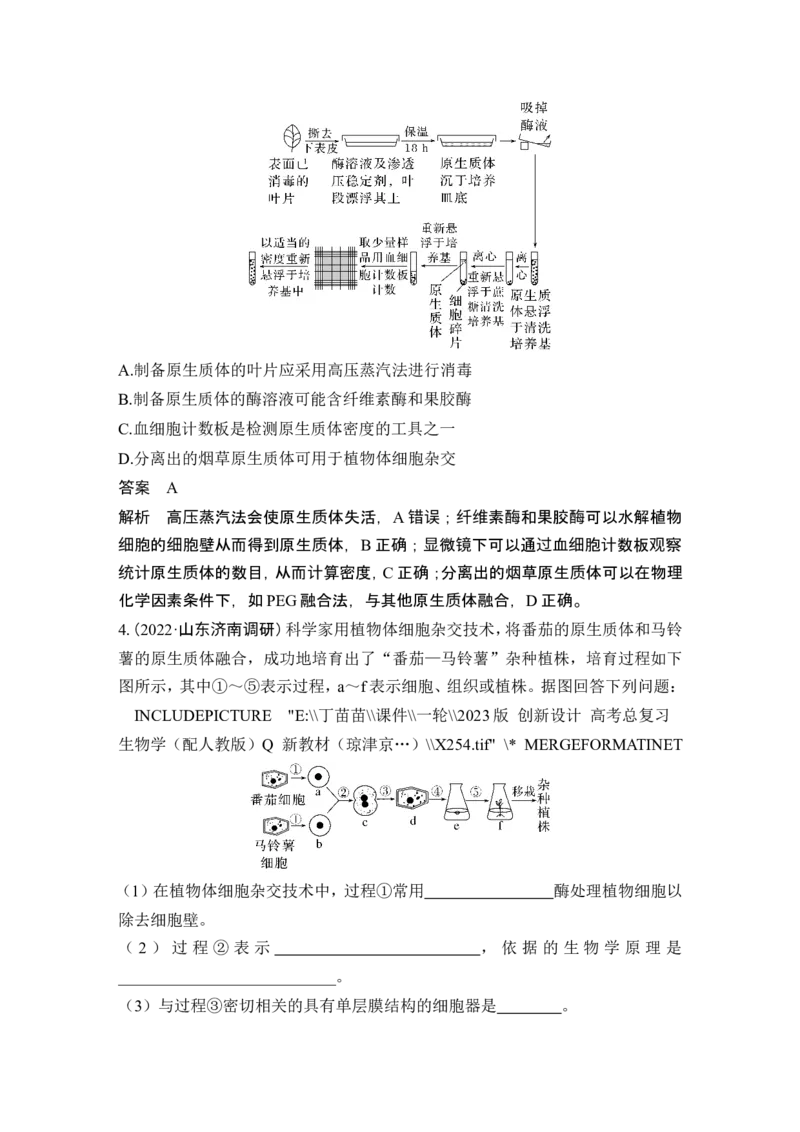 第34讲细胞工程和胚胎工程_2024年新高考资料_1.2024一轮复习_2024年高考生物一轮复习讲义（新人教版）_另附1套Word版题库_选择性必修3_第十单元生物技术与工程