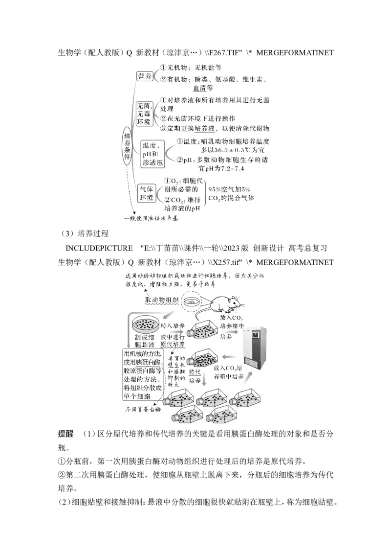 第34讲细胞工程和胚胎工程_2024年新高考资料_1.2024一轮复习_2024年高考生物一轮复习讲义（新人教版）_另附1套Word版题库_选择性必修3_第十单元生物技术与工程