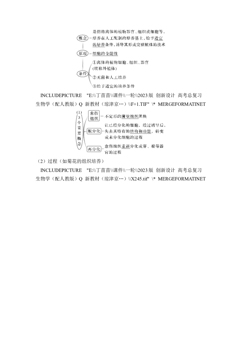 第34讲细胞工程和胚胎工程_2024年新高考资料_1.2024一轮复习_2024年高考生物一轮复习讲义（新人教版）_另附1套Word版题库_选择性必修3_第十单元生物技术与工程