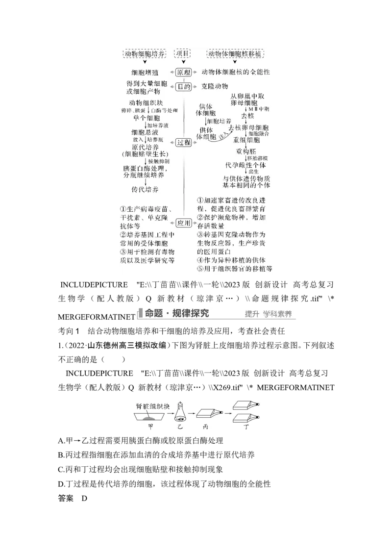 第34讲细胞工程和胚胎工程_2024年新高考资料_1.2024一轮复习_2024年高考生物一轮复习讲义（新人教版）_另附1套Word版题库_选择性必修3_第十单元生物技术与工程