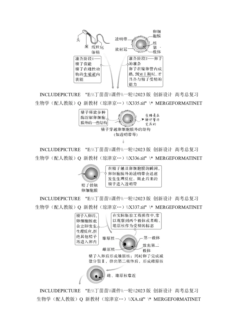 第34讲细胞工程和胚胎工程_2024年新高考资料_1.2024一轮复习_2024年高考生物一轮复习讲义（新人教版）_另附1套Word版题库_选择性必修3_第十单元生物技术与工程