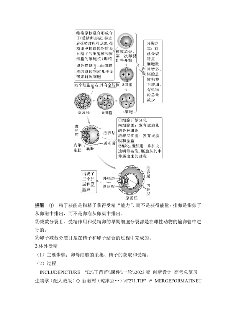 第34讲细胞工程和胚胎工程_2024年新高考资料_1.2024一轮复习_2024年高考生物一轮复习讲义（新人教版）_另附1套Word版题库_选择性必修3_第十单元生物技术与工程