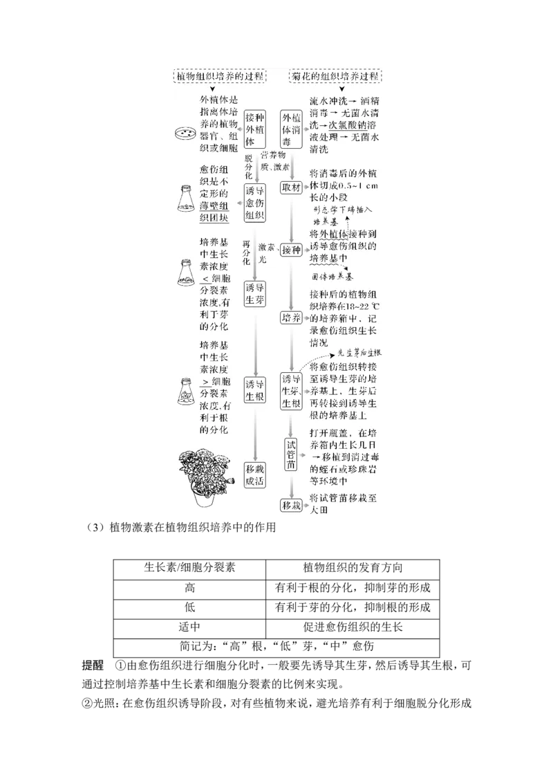 第34讲细胞工程和胚胎工程_2024年新高考资料_1.2024一轮复习_2024年高考生物一轮复习讲义（新人教版）_另附1套Word版题库_选择性必修3_第十单元生物技术与工程