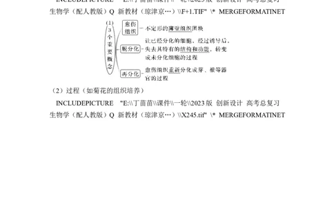 第34讲细胞工程和胚胎工程_2024年新高考资料_1.2024一轮复习_2024年高考生物一轮复习讲义（新人教版）_另附1套Word版题库_选择性必修3_第十单元生物技术与工程